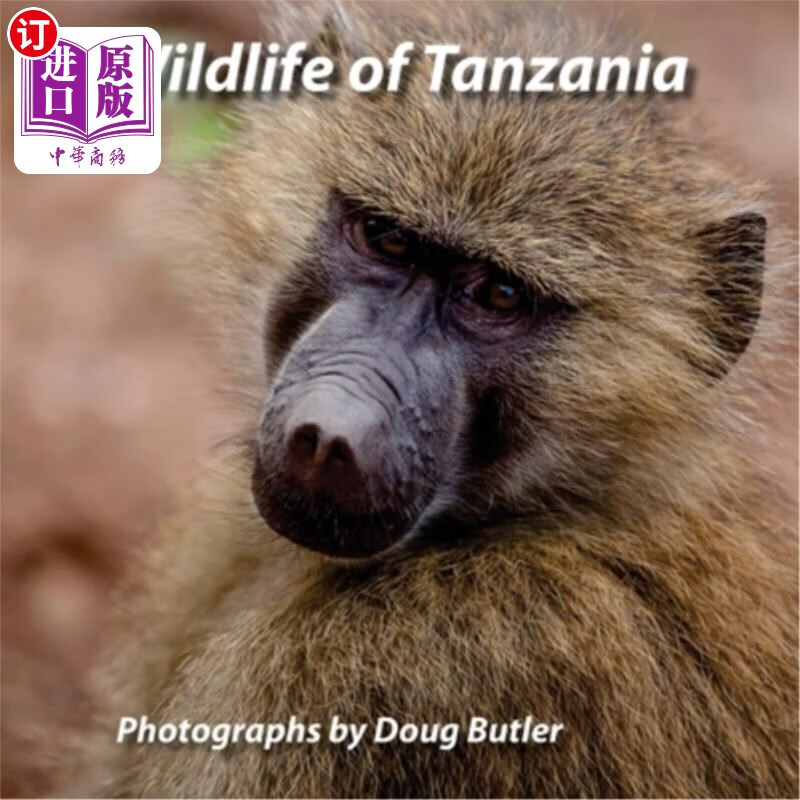 tanzania an african photo safari for all ages 坦桑尼亚野生动物