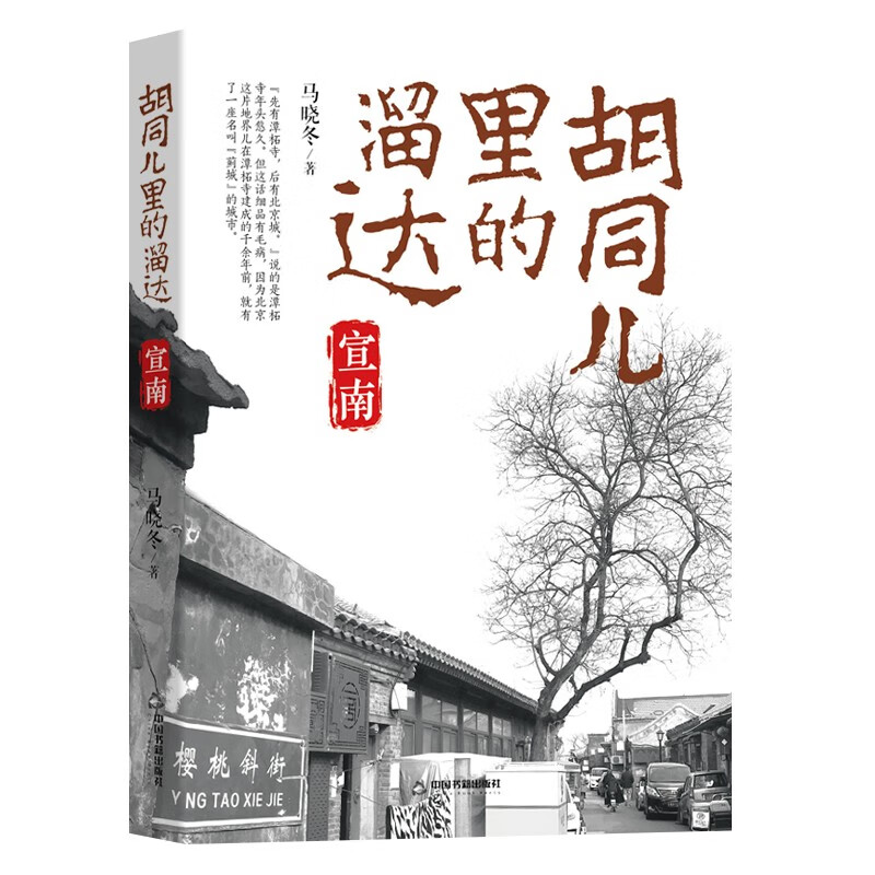 胡同儿里的溜达.宣南 （彩页图文）老北京胡同文化 马晓东著