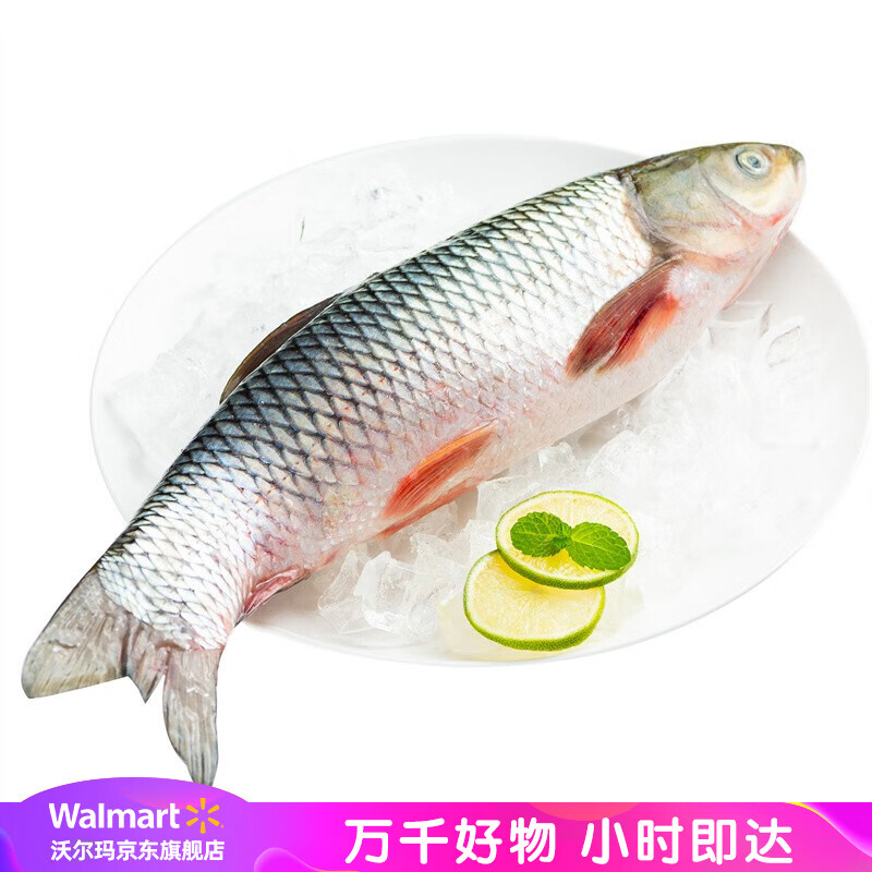 沃尔玛 鲜活草鱼 约1.25-1.75kg/条（默认宰杀）