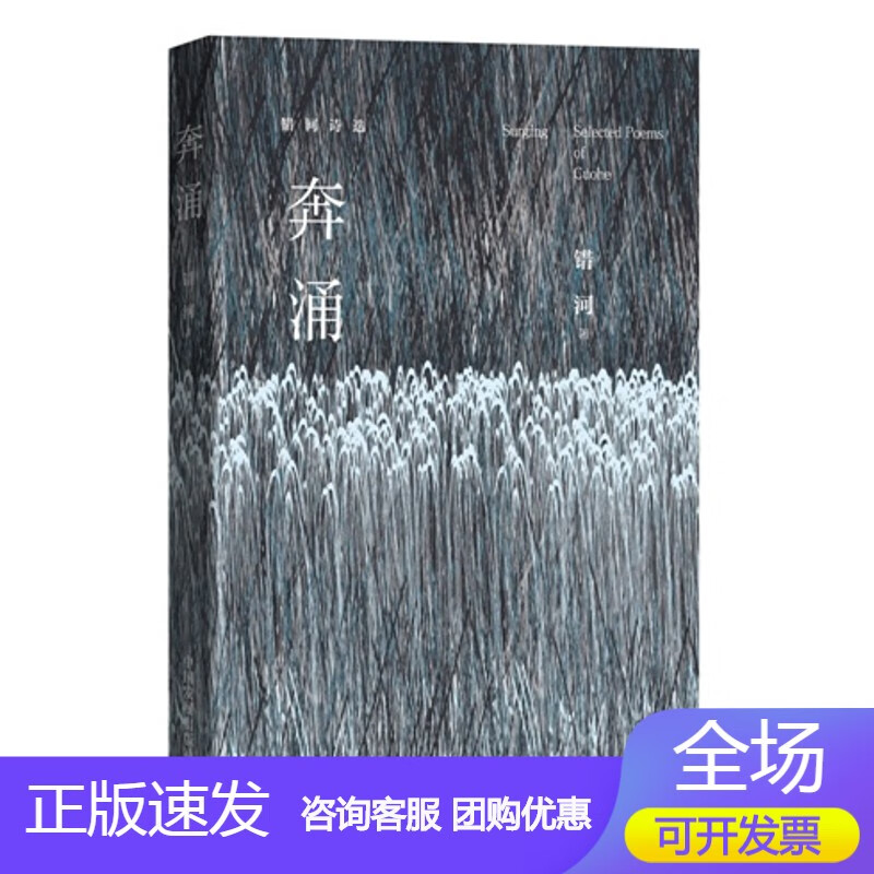 n奔涌——错河诗选