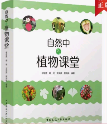 自然中的植物课堂