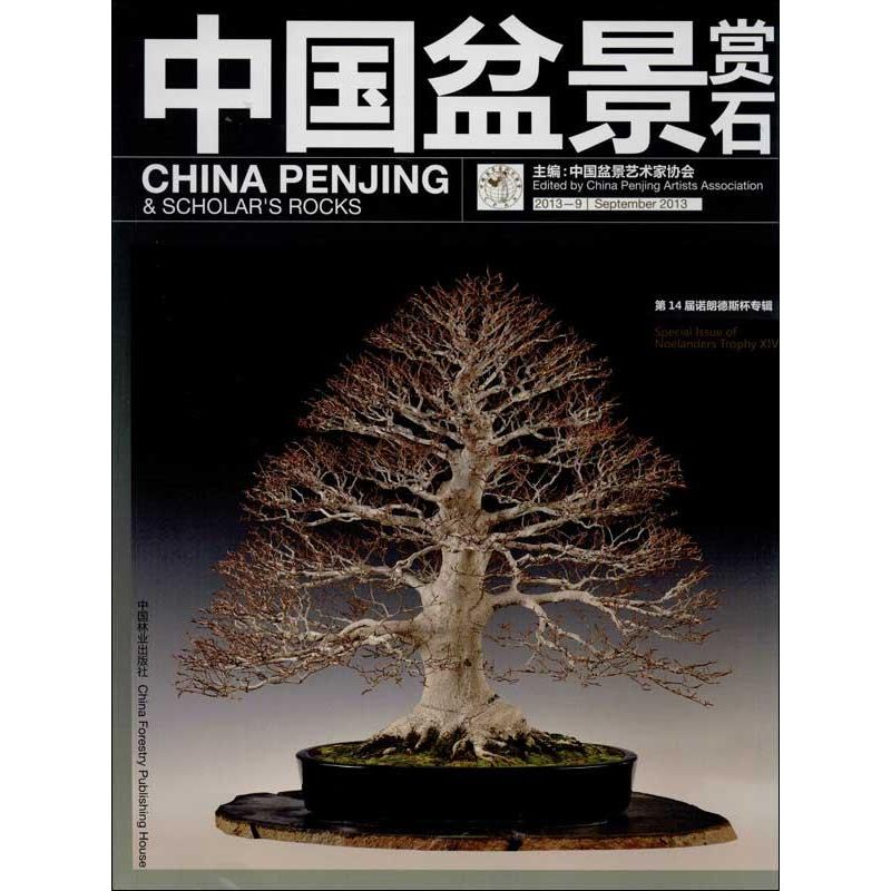 中国盆景赏石2013-9