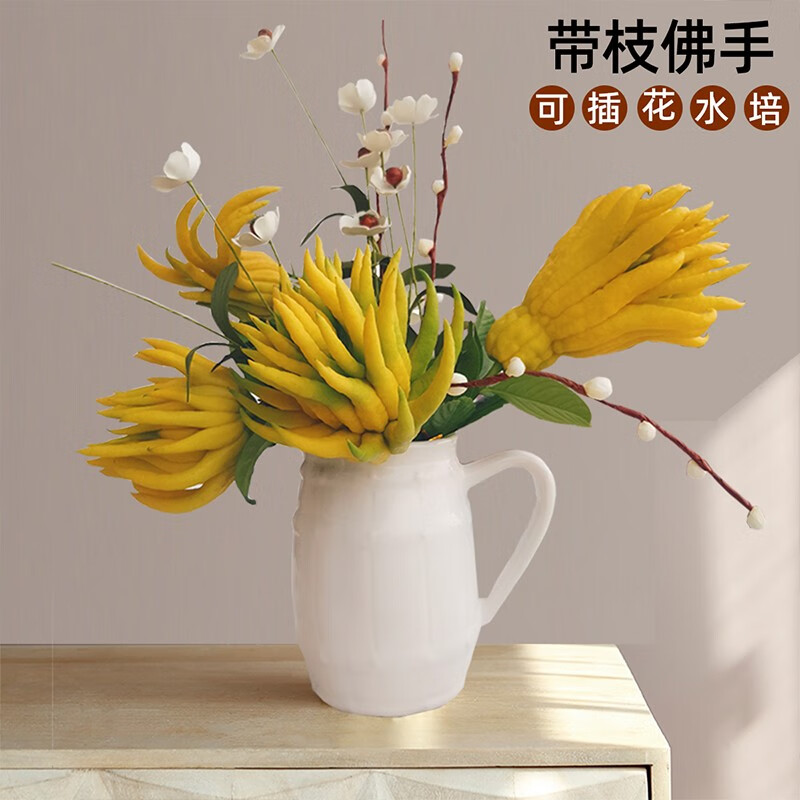 星云湖金华佛手果佛手柑香橼 现摘现发带枝条 食用观赏闻香清供佛手 【食用果】（果形大小颜色随机丨称重发货）1斤