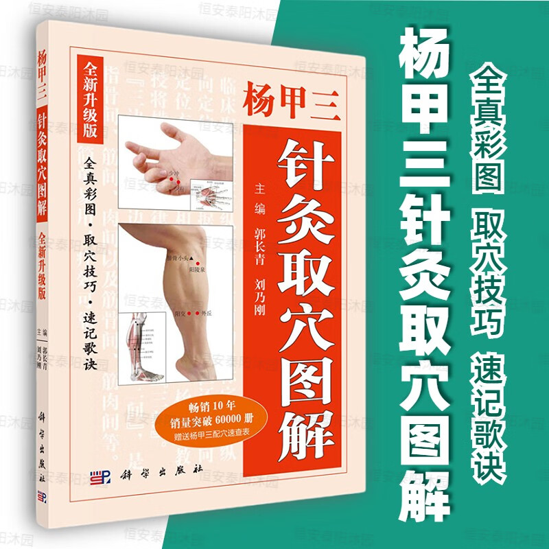 【附配穴速查表】2018新版杨甲三针灸取穴全新升级版十二经络歌诀书