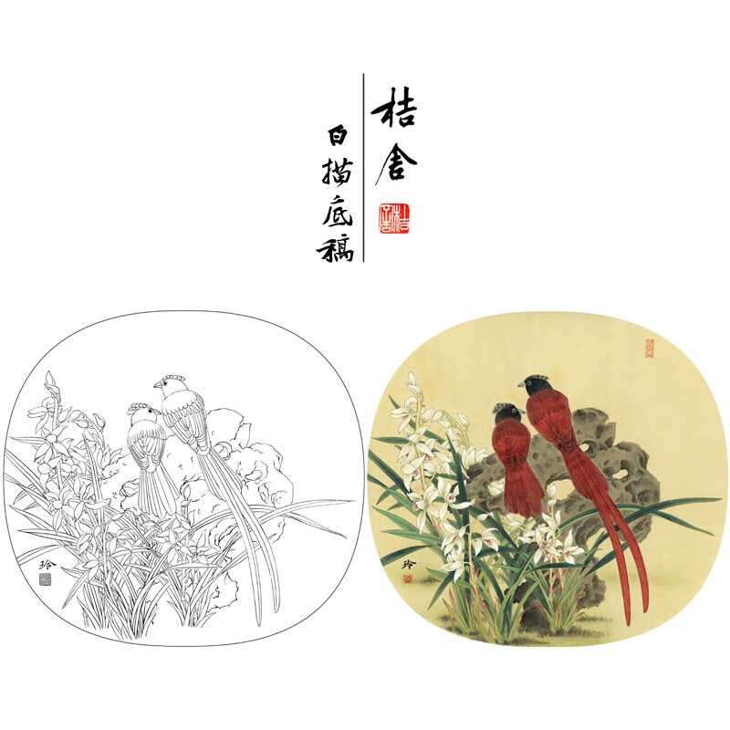 桔舍郑玲玲工笔画白描底稿兰花寿带鸟圆形小品原大40*43厘米花鸟线稿