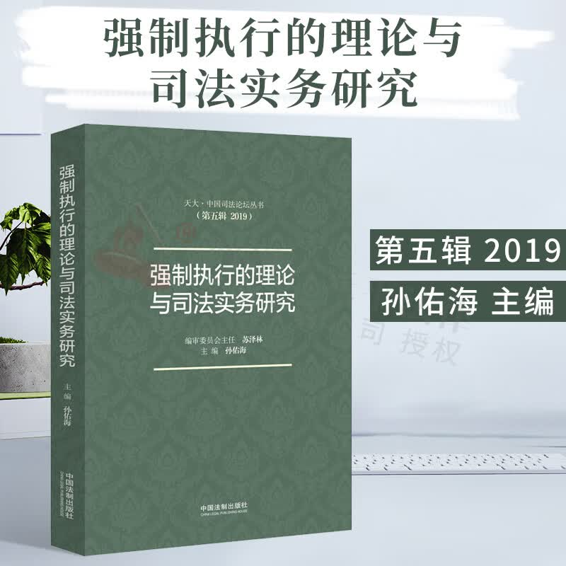 强制执行的理论与司法实务研究 强制执行 执行异议 执行制度 孙佑海 著 中国法制出版社 9787521612974