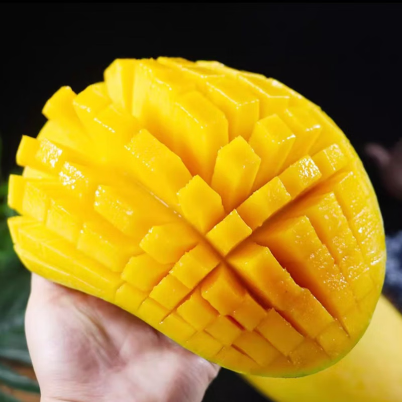 美得乐海南金煌芒大芒果新鲜时令水果整箱 彩箱净重4.5斤