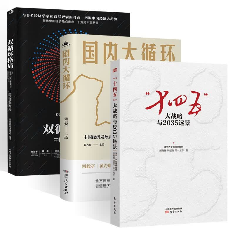 解读十四五（3册）：国内大循环+双循环+十四五大战略与2035远景