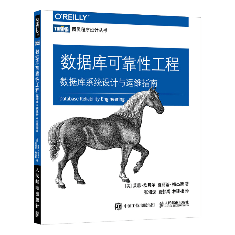数据库可靠性工程 数据库系统设计与运维指南（图灵出品）