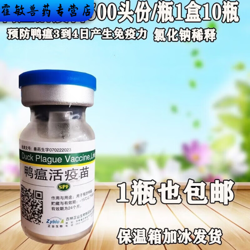 勋狸粑禽用吉林正业鸭瘟疫苗预防鸭子瘟疫  死亡率高可配鸭黄一起注射