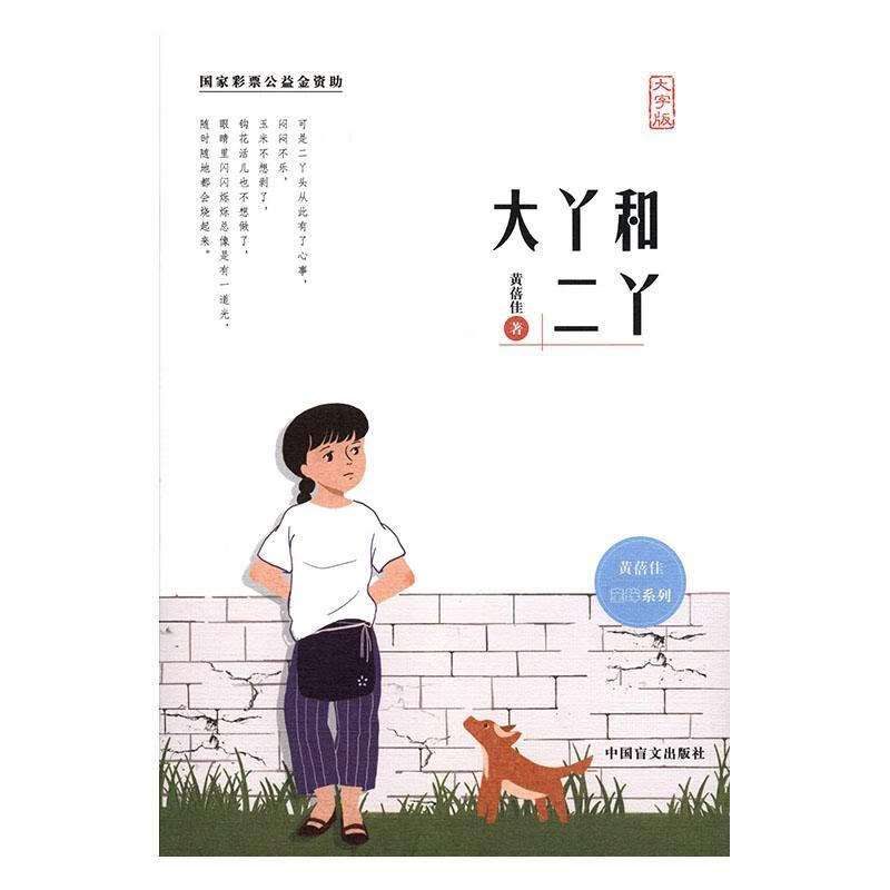 大丫与二丫 文学 黄蓓佳 中国盲文出版社 9787500294474