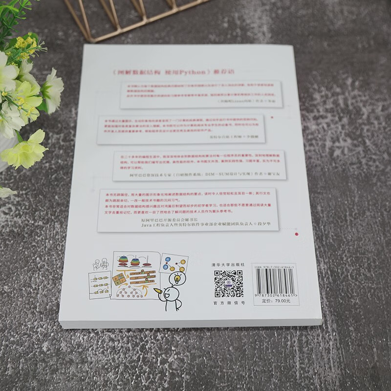 图解数据结构——使用Python（视频教学版）详情图