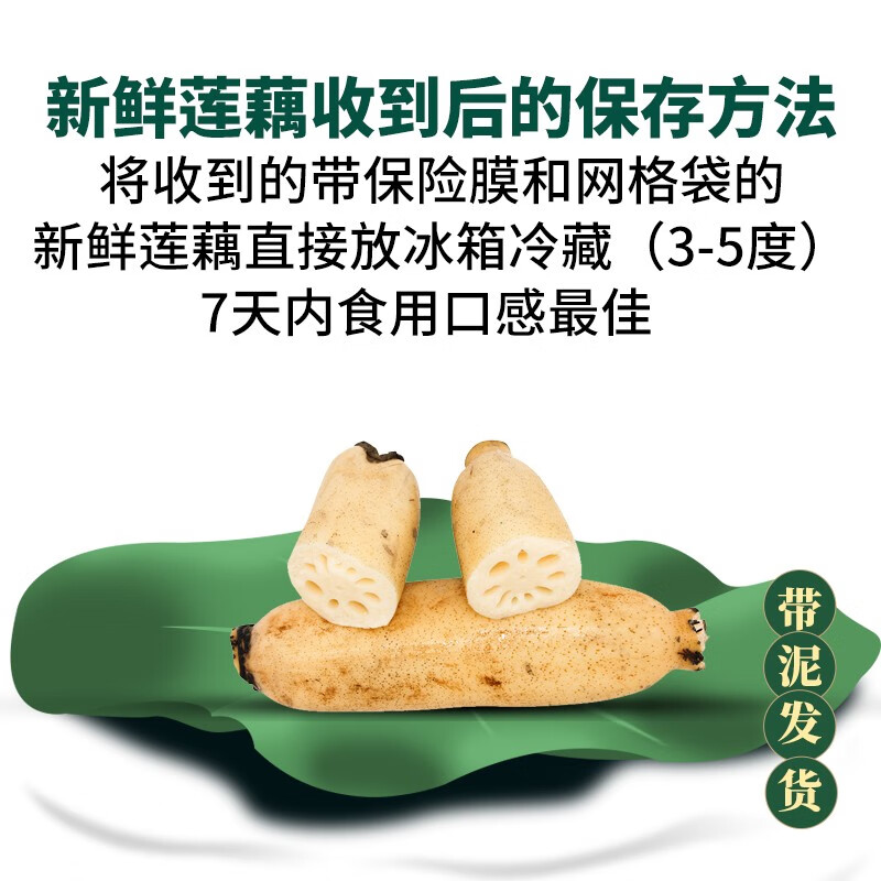 洪湖农家洪湖莲藕 洪湖粉藕 蔬菜 生鲜 火锅食材 买菜 粉糯莲藕 农产品 粉藕3斤普快