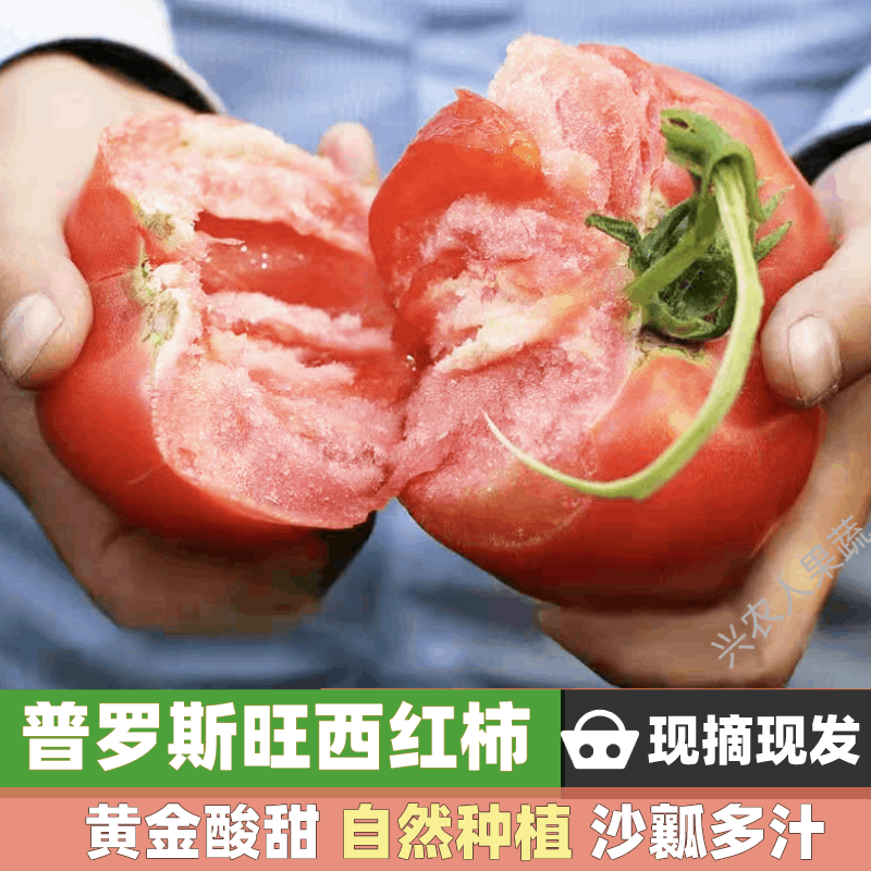 甜农人普罗旺斯水果西红柿 顺丰  生吃沙瓤番茄 新鲜自然熟 健康水果