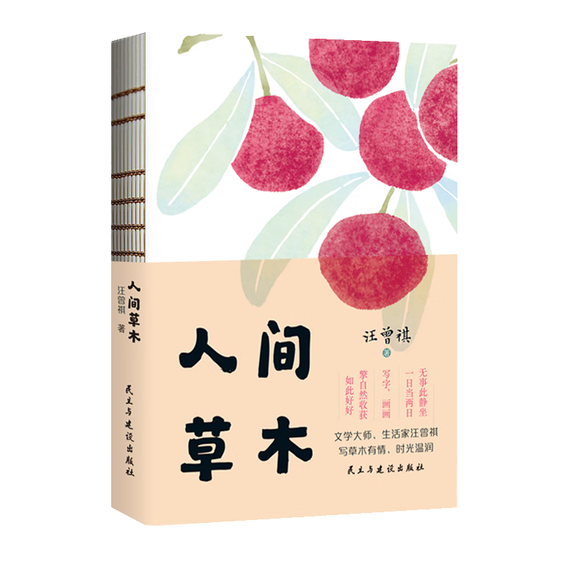汪曾祺 人间草木（裸脊线装）附赠精美书签 汪曾祺散文集 京东超级618