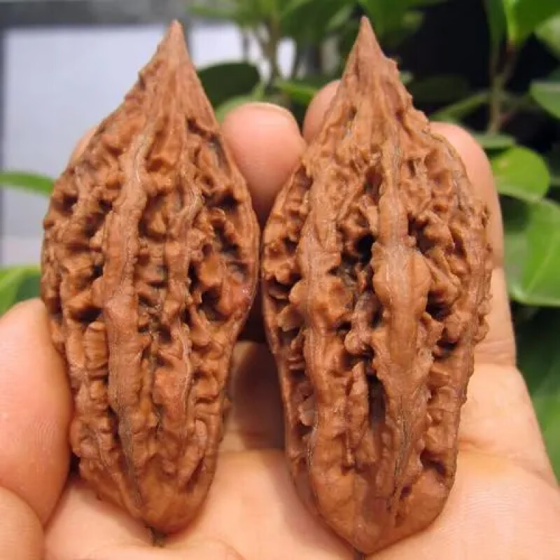 胖东来同款秋子核桃东北野生文玩麻粗筋半壁自然成熟落果上色代购 1对