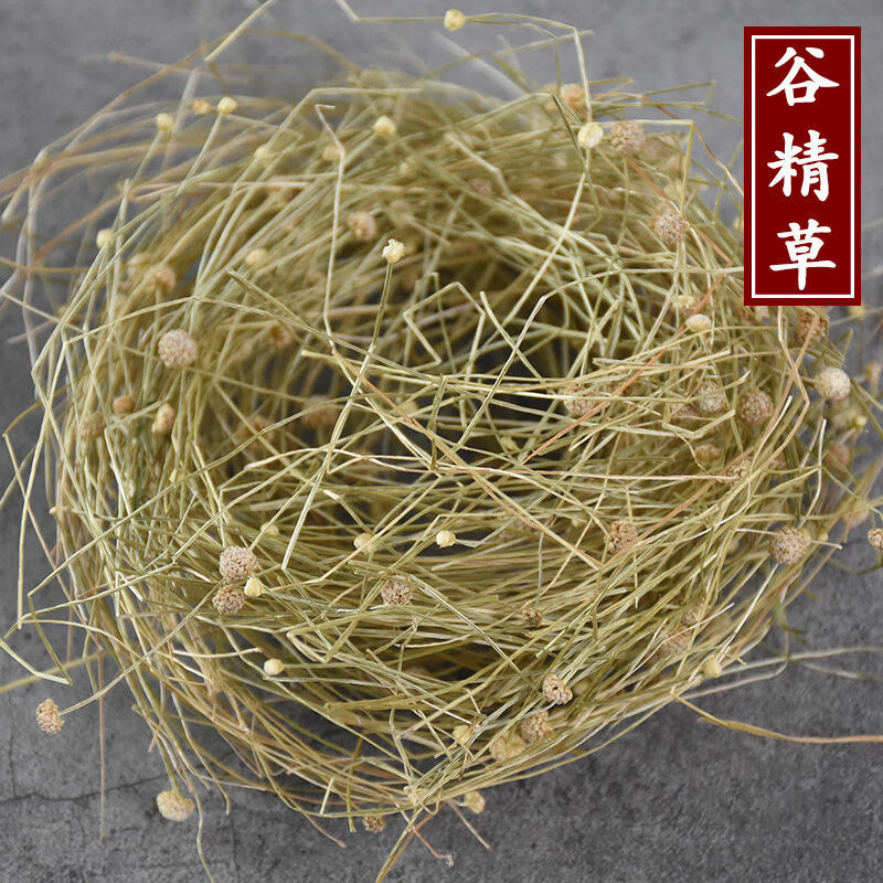 北京同仁堂谷精草中药材 珍珠草 谷精珠 谷精新货 100克
