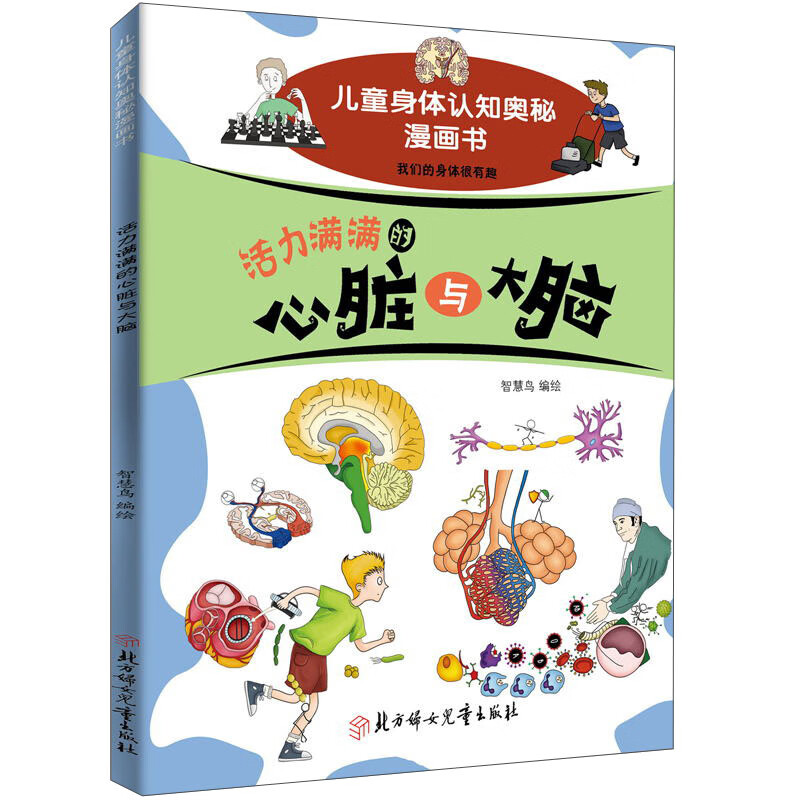 活力满满的心脏与大脑 