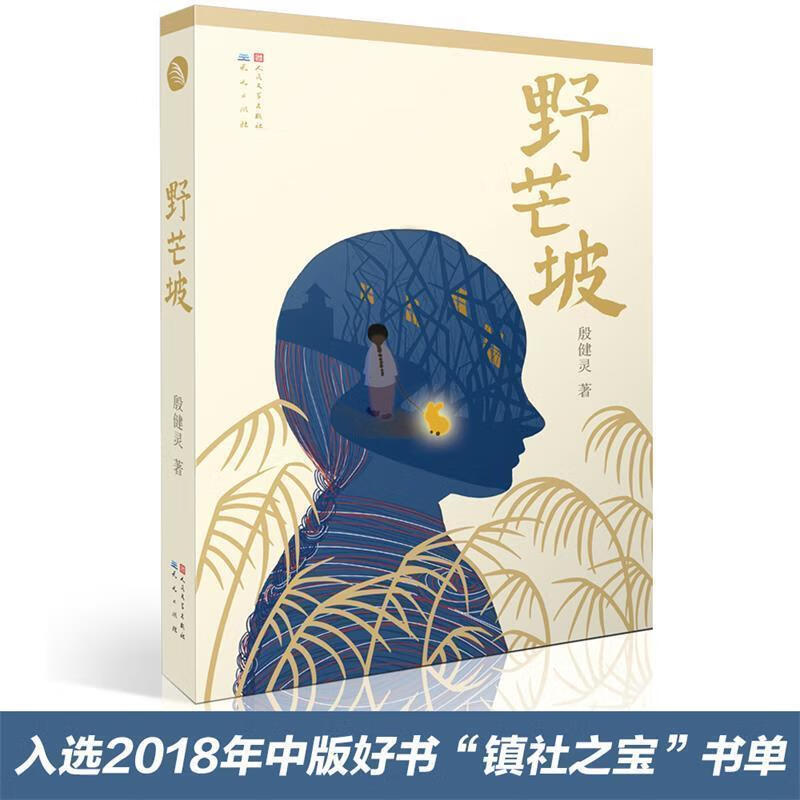 二手书9成新 林格伦奖提名作家殷健灵作品:野芒坡 殷健灵 天天出