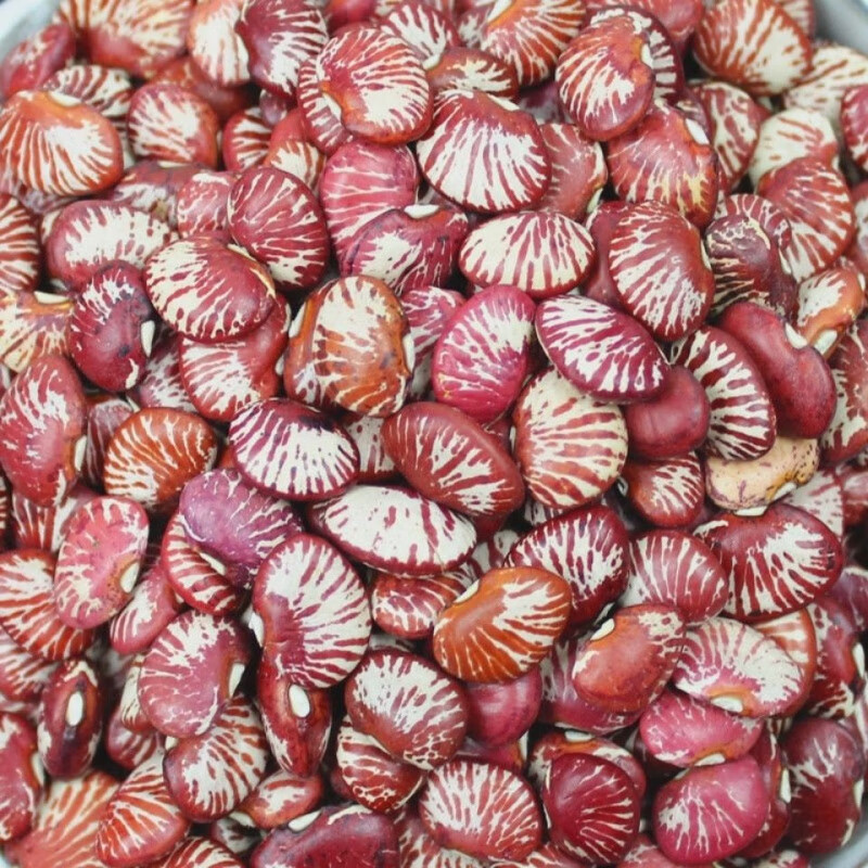 云南大肾豆5斤农家自产荷包豆皇帝豆斑马豆状元豆豆类杂粮粗粮1斤