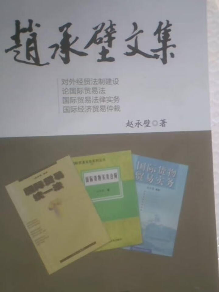 赵承壁文集