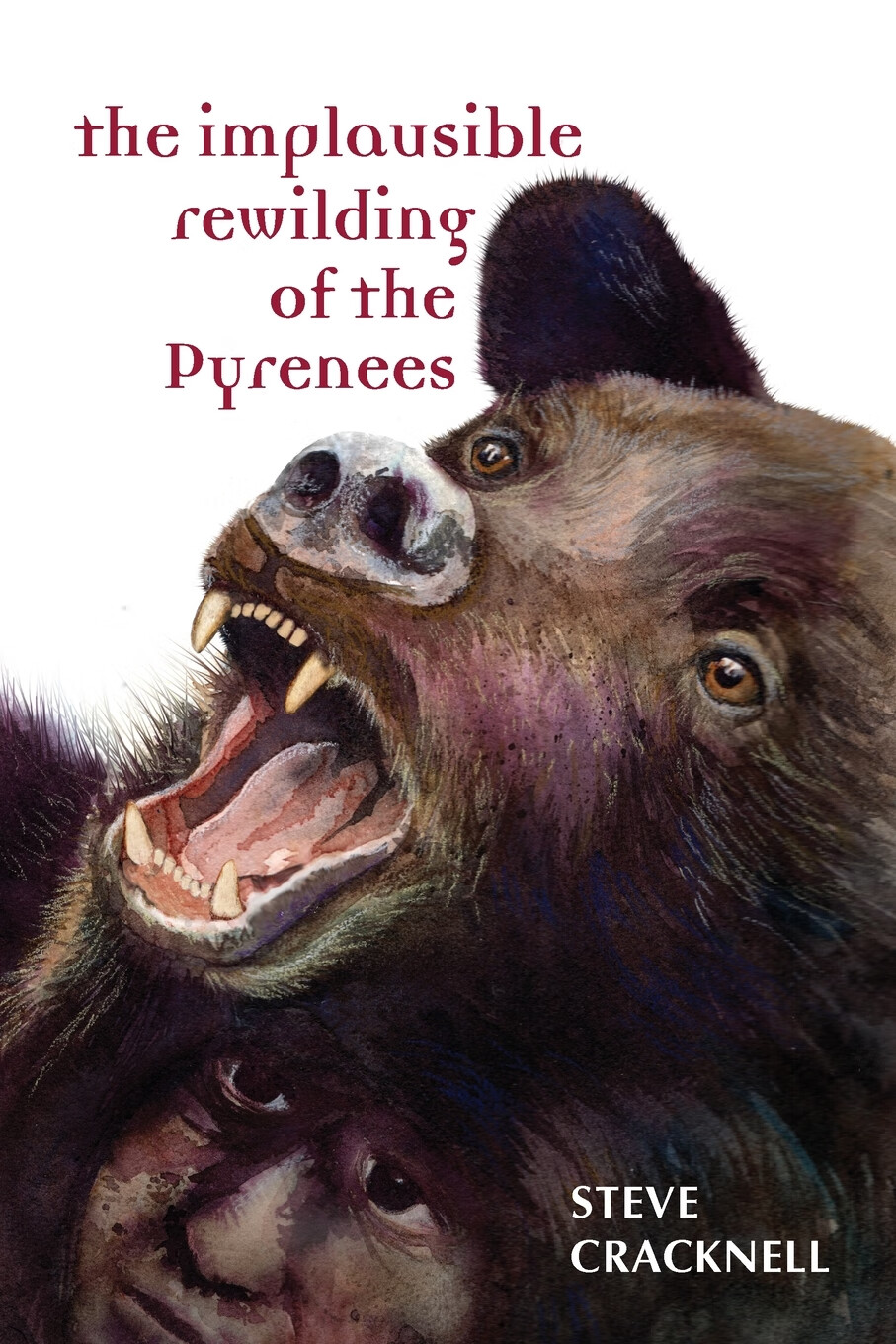 【预售 按需印刷】the implausible rewilding of the pyrenees