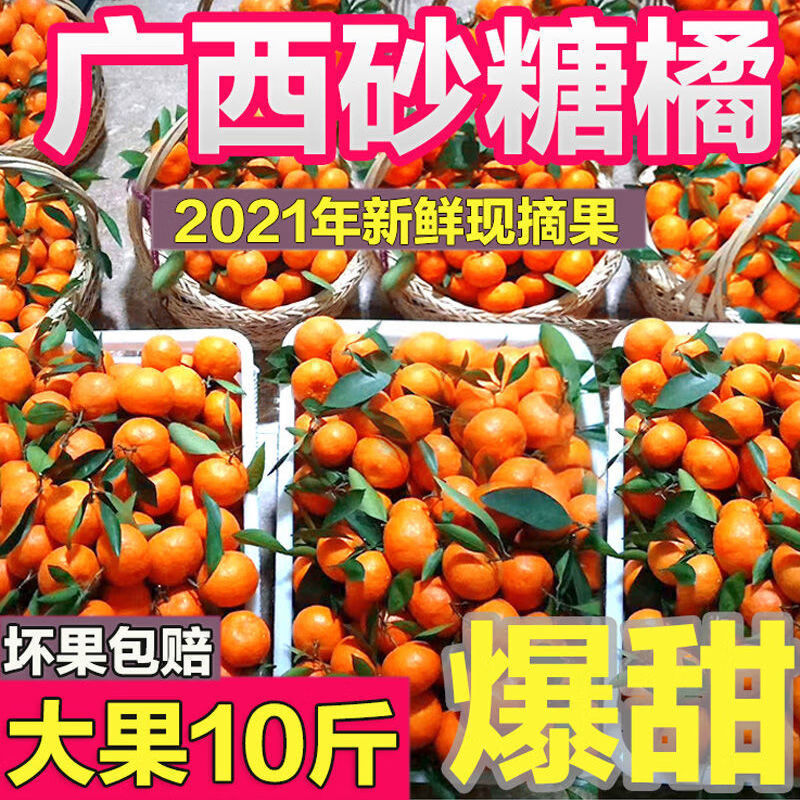 广西正宗砂糖橘  孕妇 新鲜水果 现摘现发 新鲜桔橘 贡橘贡桔年货