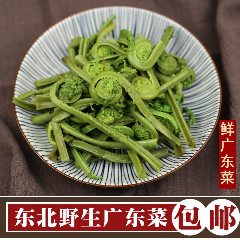 【京喜好货】黄瓜香广东菜荚果蕨纯野东北蕨菜山野菜 东北野生山菜
