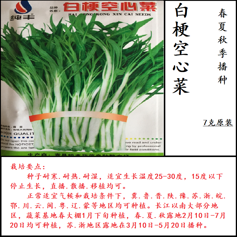 白梗空心菜种子白骨柳叶蕹菜籽春夏秋四季蔬菜种子青菜农家大田用 白