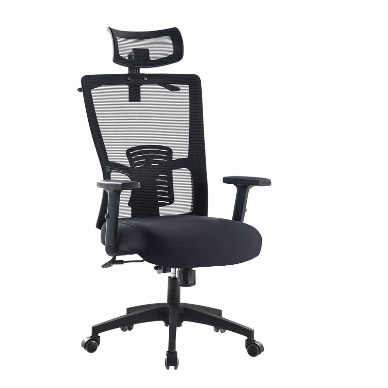 古雷诺斯 电脑椅子家用舒适书房写字久坐座椅中学习办公椅人体工学椅 S166-01-全黑