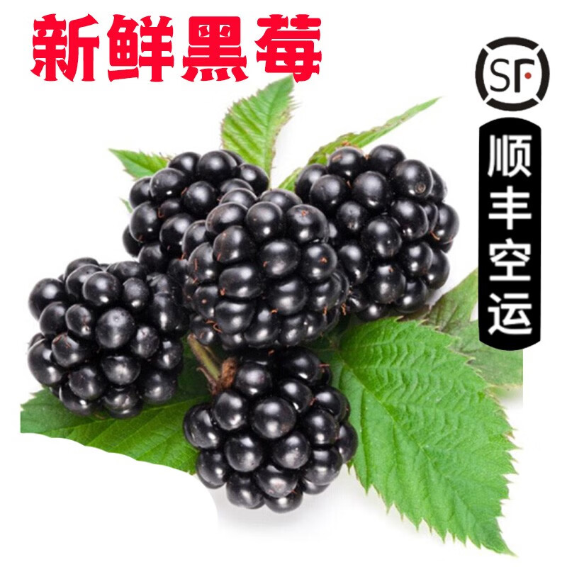 沃鲜谷【顺丰航空】新鲜树莓 覆盆子 红树莓 新鲜水果  独立包装 黑莓4盒*110g/盒