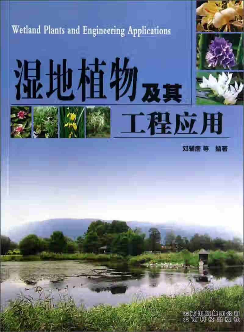 【正版】湿地植物及其工程应用