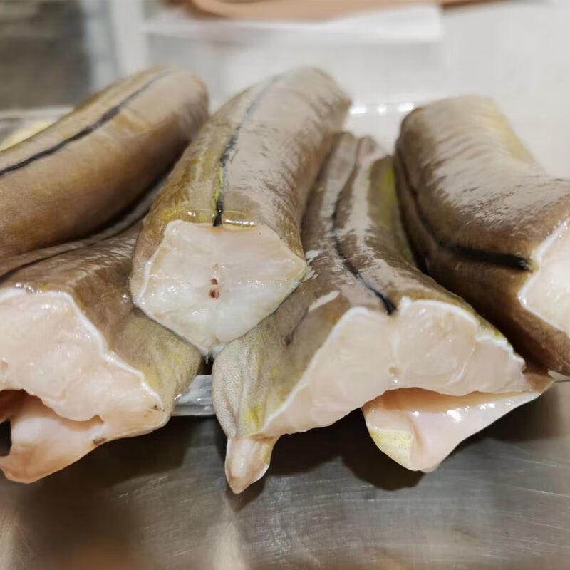 京戰(zhàn) 新鮮海釣大鰻魚海鰻虎鰻花鰻波露豆齒鰻 (切段大鰻魚)1斤/盒