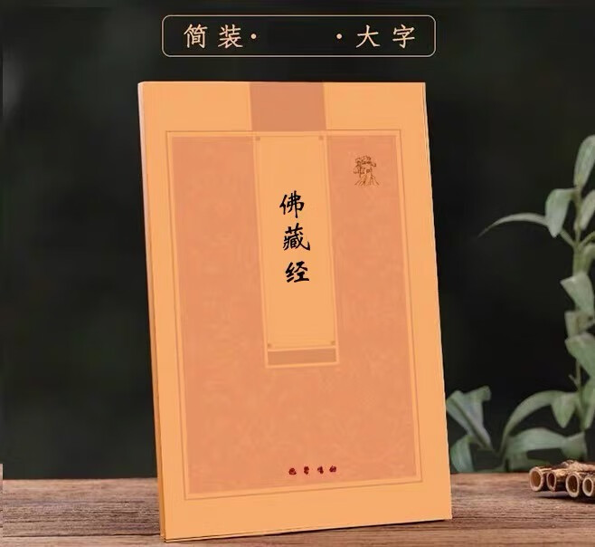 不带拼音版简装横排简体佛藏经