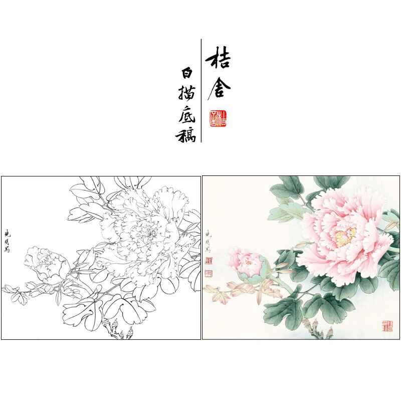 桔舍李晓明工笔画白描底稿牡丹小品原大35×43厘米花鸟线稿带a3步骤图