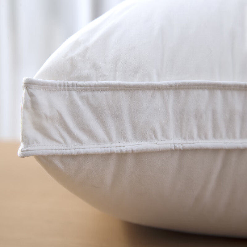 出口靠垫抱枕白鹅毛3040506070沙发车床上靠背腰 40x40cm