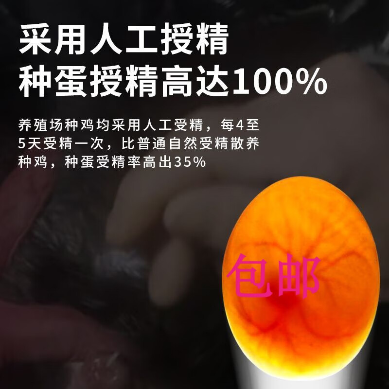 种蛋土鸡种蛋受精蛋五黑鸡草鸡乌鸡可孵化芦花鸡来航种蛋 多种类混发