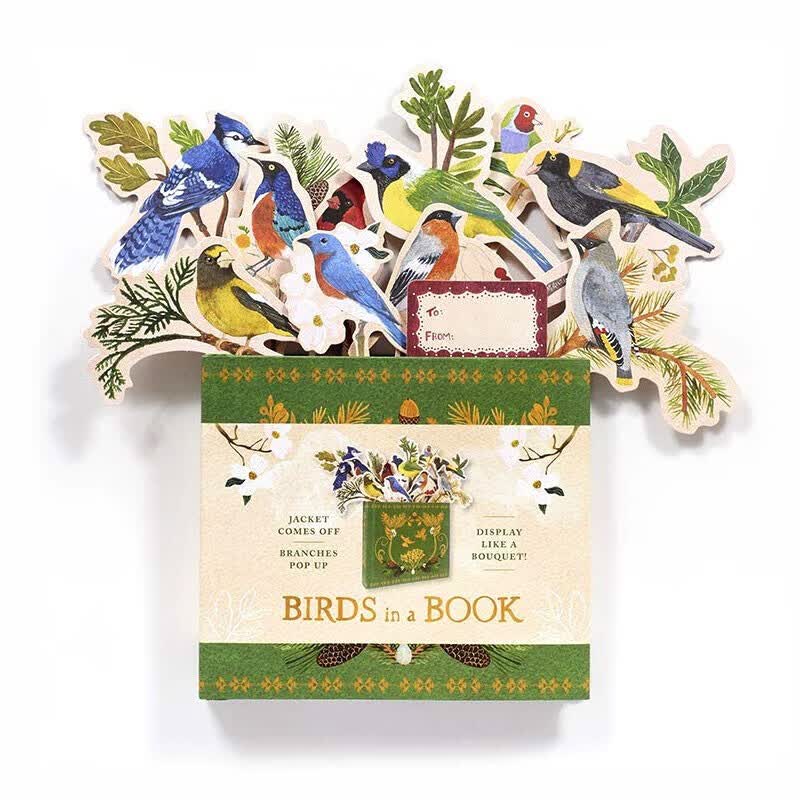 【现货】【创意花盆礼品书】Birds in a Book  (UpLifting Editions) 书中鸟 翻翻立体书 英文原版图书籍正版 Rachel Grant  Lesley Earle