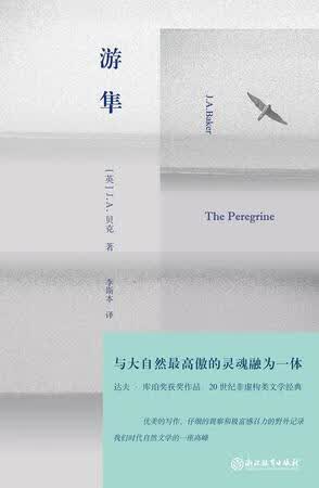 游隼【正版好书】