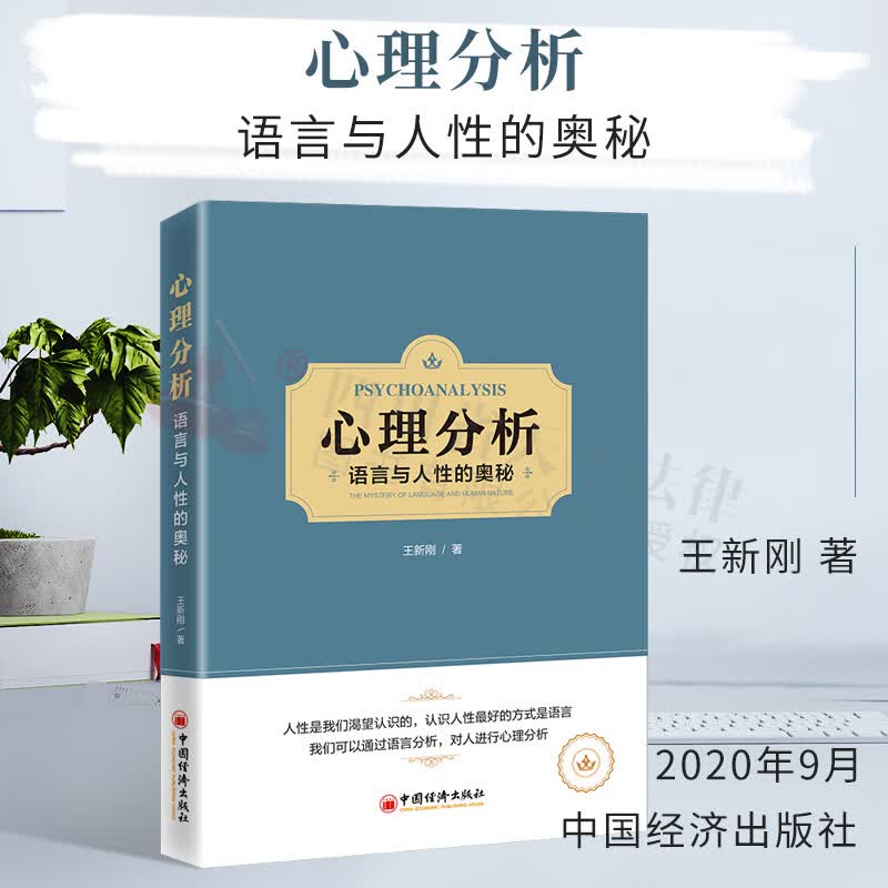 心理分析/语言与人性的奥秘 王新刚 著 中国经济出版社 9787513662567