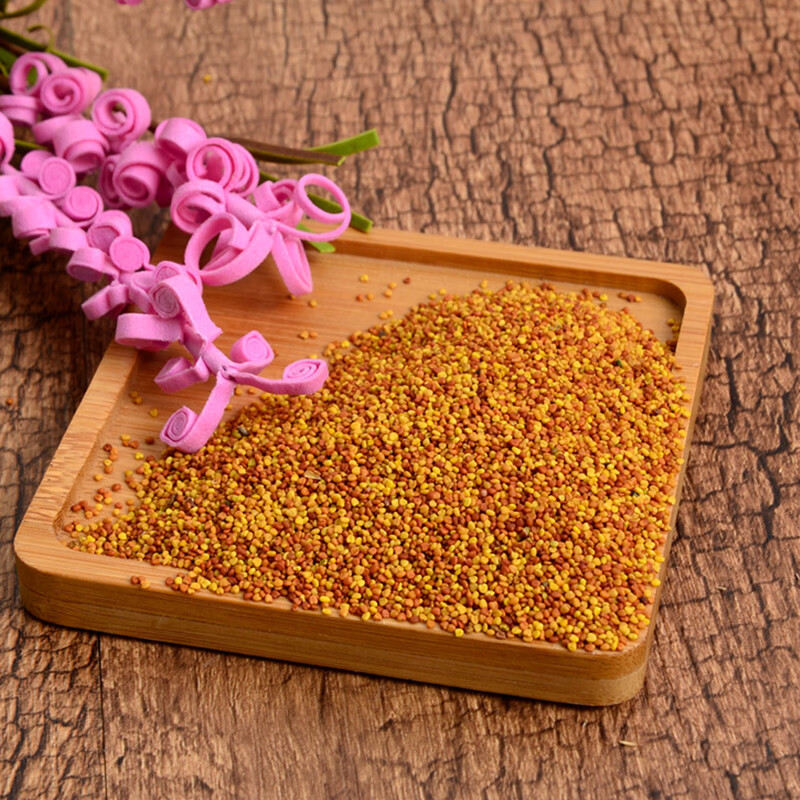 畷园三叶草种子白三叶草籽红三叶草籽四季青草坪牧草果园绿肥四季播种