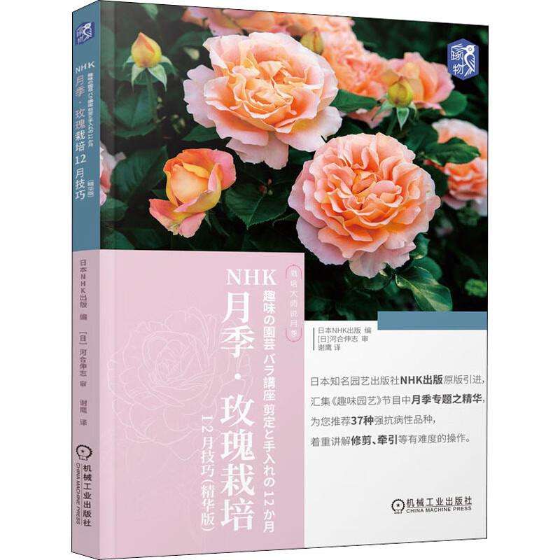 NHK月季·玫瑰栽培12月技巧(精华版)