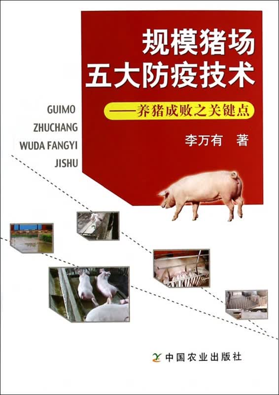规模猪场五大防疫技术--养猪成败之关键点