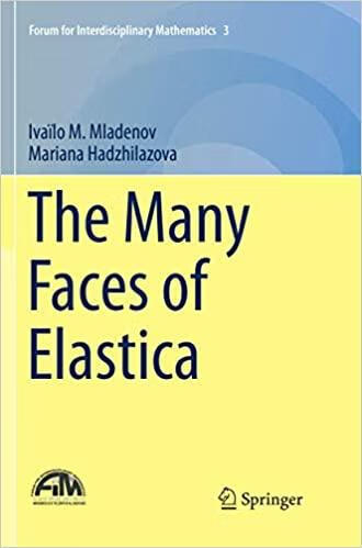 预订The Many Faces of Elastica