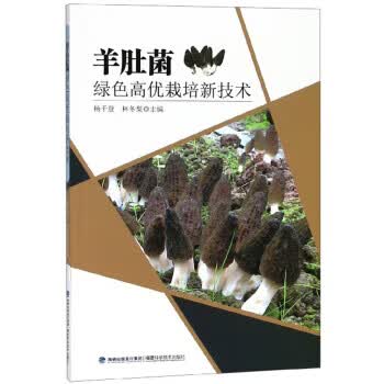 羊肚菌绿色高优栽培新技术