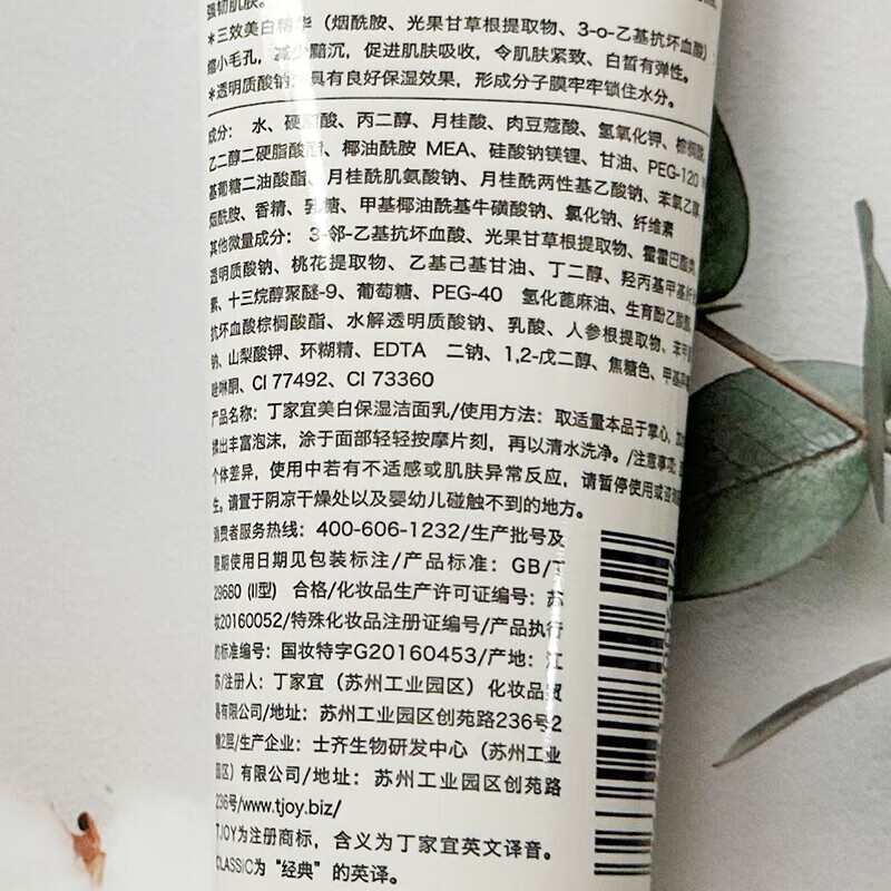 丁家宜(TJOY)美白保湿泡沫洁面乳女深层洁面补水淡斑去黄滋润护肤洗面奶 丁家宜美白保湿洁面乳100g一支