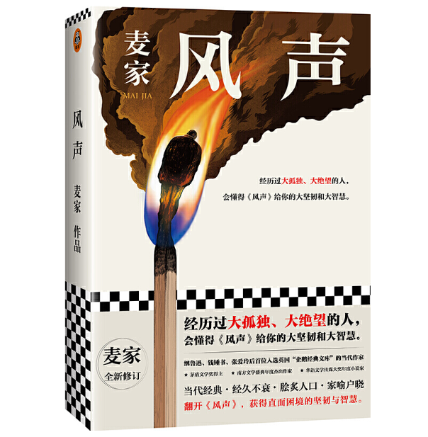 风声 上海文艺出版社 图书大厦