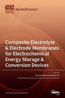 预订 Composite Electrolyte & Electrode Membranes for Electrochemical Energy Storage & Conversion