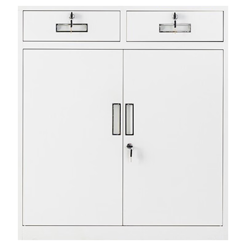 钱柜二斗钢制矮柜-价格趋势和销量分析|如何知道京东文件柜历史价格