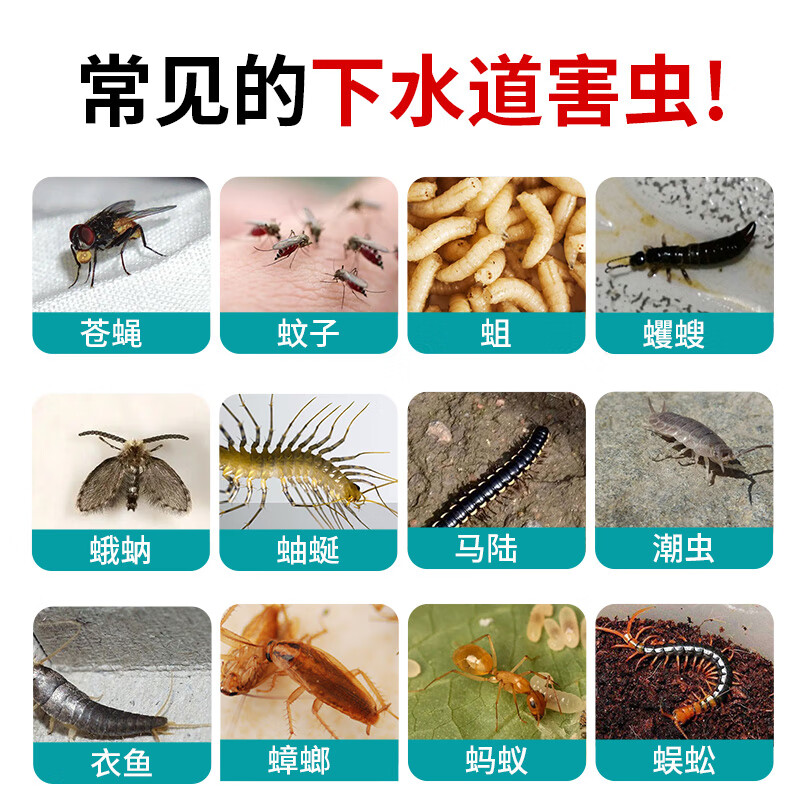配图3